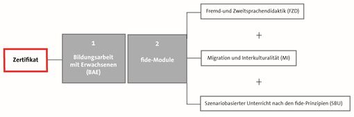 Aktualisierung der fide-Module