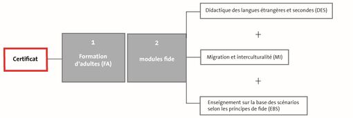 Mise à jour des modules fide