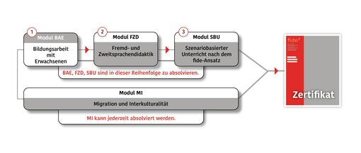 Aktualisierung und Revision der fide-Module für das Zertifikat «Sprachkursleiter/in im Integrationsbereich»