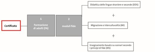 Aggiornamento dei moduli fide